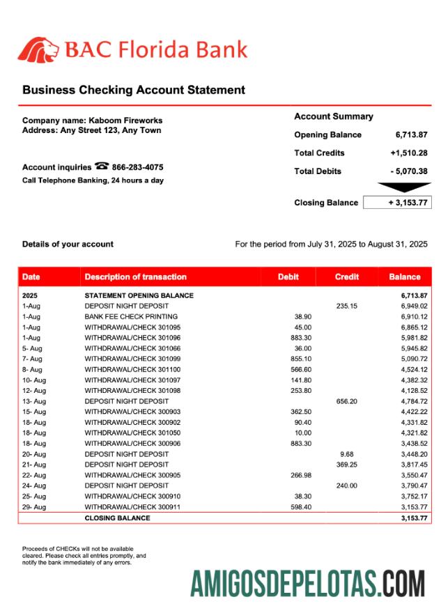 Baixável USA BAC Florida Enterprise Statement Modelo Word e PDF